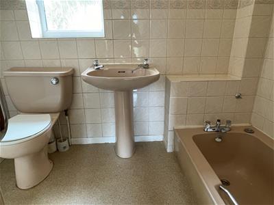 Picture 7